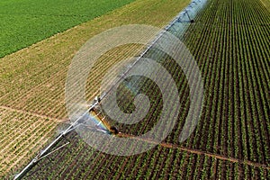 Aerial view of irrigation system in corn sprout field