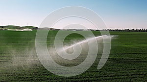 Aerial view of irrigation system rain guns sprinkler on agricultural wheat field helps to grow plants in the dry season