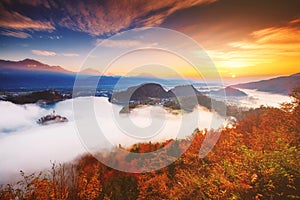 Aerial view of the island on alpine lake Bled. Location place Julian Alps, Slovenia, Europe