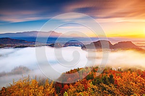 Aerial view of the island on alpine lake Bled. Location place Julian Alps, Slovenia, Europe