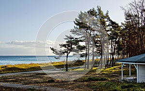 Aerial view of island of Ruegen with dense trees