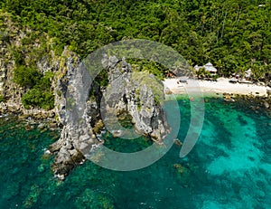 Tropical Apo Island. Philippines. photo