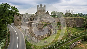 Jerpoint Abbey. Thomastown, county Kilkenny, Ireland