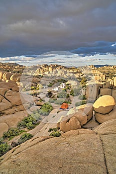 Aerial view of Joshua Tree National Park with RVs parked at the scenic campsite