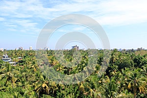 Aerial view of Kannur City beautiful Kerala nature scenery Coconut Trees Buildings and Sea, India