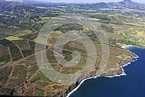 Aerial view of Kauai south coast showing coffee plantations near Poipu Kauai Hawaii USA