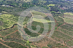 Aerial view of Kauai south coast showing coffee plantations near Poipu Kauai Hawaii USA