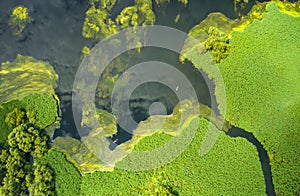 Aerial view of kayaks in the still watwers of the delta