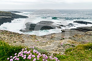 Aerial view of Kilkee Cliffs, situated at the Loop Head Peninsula, part of a dramatic stretch of Irish west coastline, county