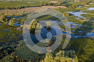 Aerial view of KopaÄki rit in the summer after the floods