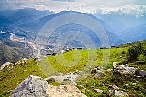 Aerial view of Kullu valley.