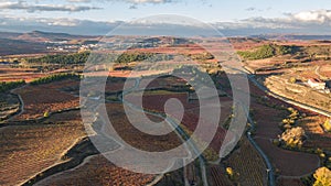 Aerial view of la rioja vineyards,  Spain