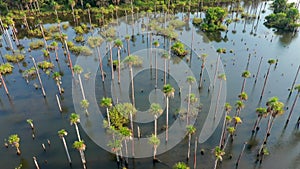 Aerial view of the Laguna del Amor in Colombia