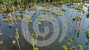 Aerial view of the Laguna del Amor in Colombia