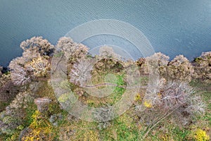 Aerial view of lake with calm water, and leafless trees ashore