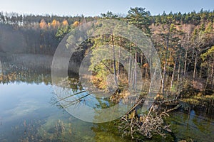 Aerial view on the lake and forest in the morning