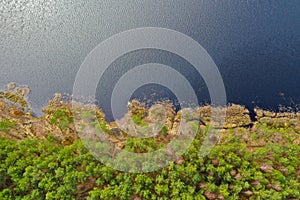 Aerial view on lake shore with green forest at beginning of spring