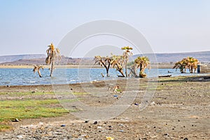 Scenic view of Lake Turkana in Loiyangalani District in Turkana County, Kenya