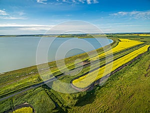 Aerial view of a lake and vivid yellow canola fields in Australia.