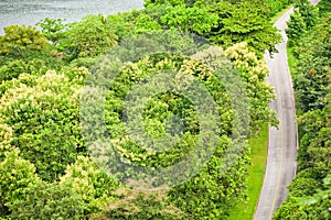 Aerial view of lakeside road in springtime. Asphalt road through tropical forest, lush foliage with flowers of teak are in bloom.