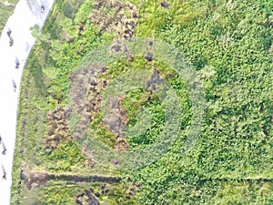 aerial view of land mapping by unmaned aerial vehicle in Bogor, Indonesia