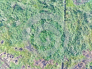 aerial view of land mapping by unmaned aerial vehicle in Bogor, Indonesia