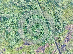 aerial view of land mapping by unmaned aerial vehicle in Bogor, Indonesia