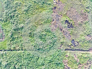 aerial view of land mapping by unmaned aerial vehicle in Bogor, Indonesia