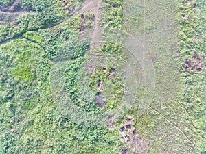 aerial view of land mapping by unmaned aerial vehicle in Bogor, Indonesia