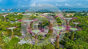 Aerial view of landscape of Gardens by the Bay in Singapore