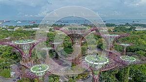 Aerial view of landscape of Gardens by the Bay in Singapore