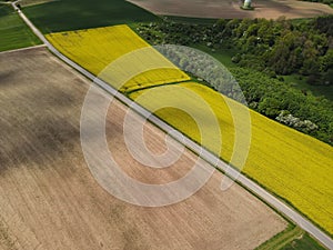 Aerial view of landscape with plowed agricultural land, yellow canola field and a road in the middle in spring