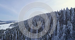 Aerial view: Landscape. Winter Nature. Flight over the winter forest