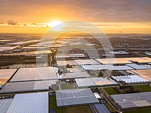 Aerial view of large Greenhouse area photo