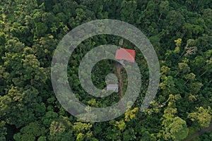 Aerial view of a large house with a red roof and two sheds among many banana trees and surrounded by tropical forest