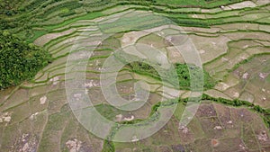 An aerial view of a large rice field near the village. There is a beautiful sun shining