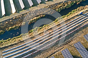 Aerial view of large sustainable electrical power plant with rows of solar photovoltaic panels for producing clean