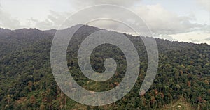 Aerial view of the last untouched rain forest at Seremban, Malaysia