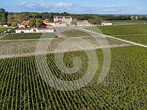 Vista aérea sobre el a la izquierda Banco de estuario verde vinedos un grano de vino variedad de famoso 