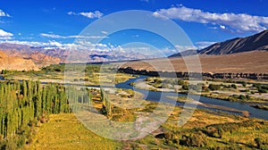 Aerial view of Leh City, Landscape of Ladakh, Jammu and Kashmir, India photo