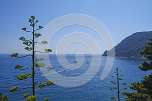 Aerial view of the Ligurian sea with boats and yachts and cliffs in Monterosso Al mare, Liguria, Italy