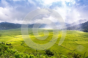 Aerial View of Lingko Spider Web Rice Fields While Sunlight Piercing Through Clouds to the Field