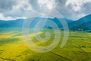 Aerial view of Lingko Spider Web Rice Fields while sunlight piercing through clouds to the ground