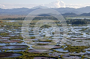 Aerial view of loktak lake