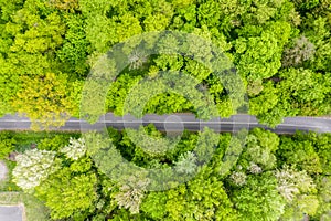 Aerial view of long road cutting through forest