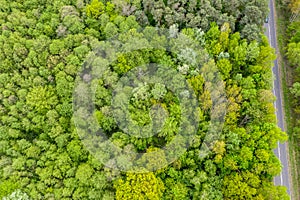 Aerial view of long road cutting through forest