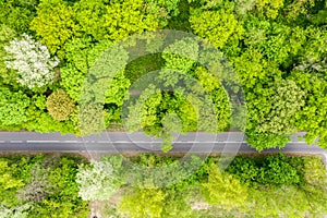 Aerial view of long road cutting through forest