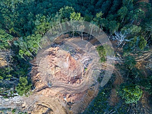 excavator and land clearing at forest photo