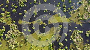 Aerial view look down peatland