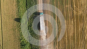 Aerial view of lorry cargo truck driving on dirt road between agricultural wheat fields. Transportation of grain after